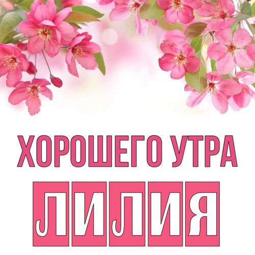 Открытка Лилия Хорошего утра