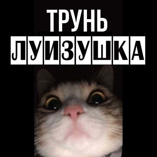 Открытка Луизушка Трунь