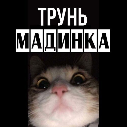 Открытка Мадинка Трунь