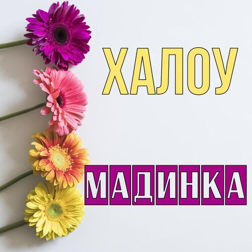 Открытка Мадинка Халоу