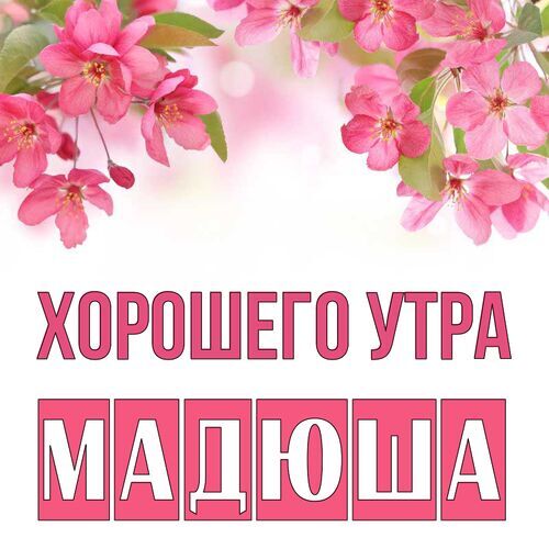 Открытка Мадюша Хорошего утра