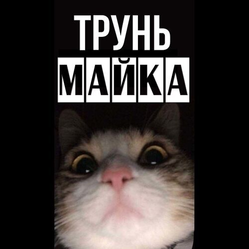 Открытка Майка Трунь