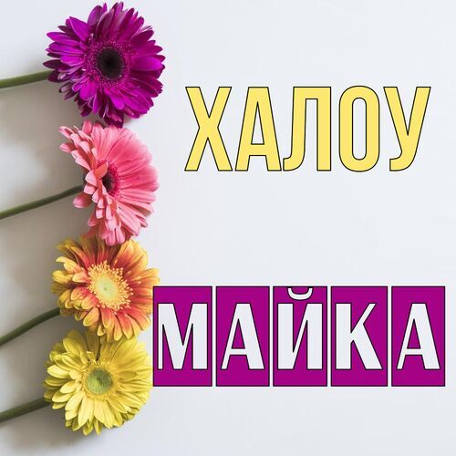 Открытка Майка Халоу