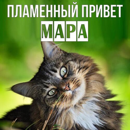 Открытка Мара Пламенный привет