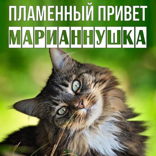 Открытка Марианнушка Пламенный привет