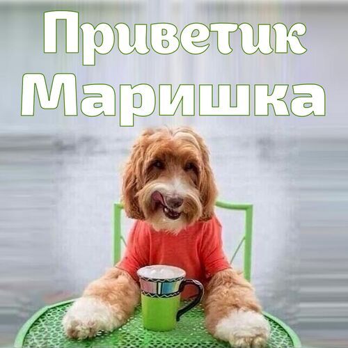 Открытка Маришка Приветик