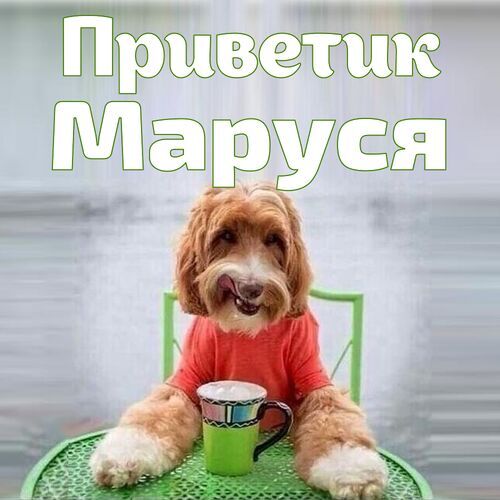 Открытка Маруся Приветик