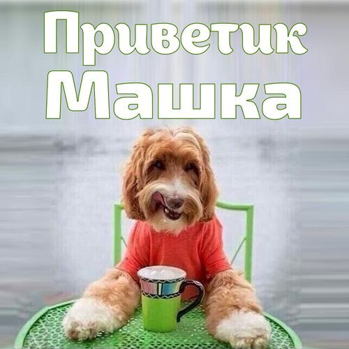 Открытка Машка Приветик