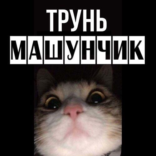 Открытка Машунчик Трунь