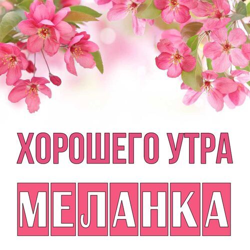 Открытка Меланка Хорошего утра