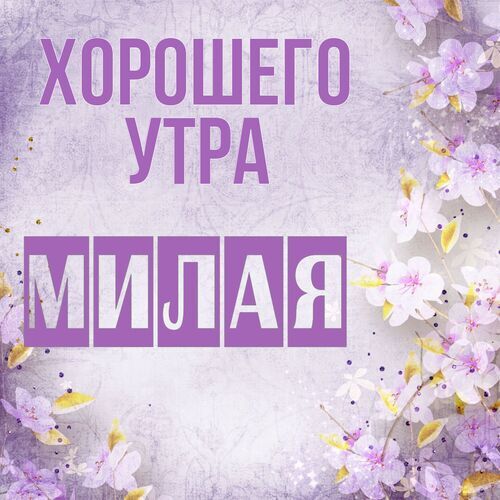 Открытка Милая Хорошего утра