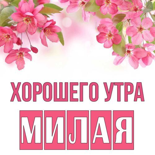 Открытка Милая Хорошего утра