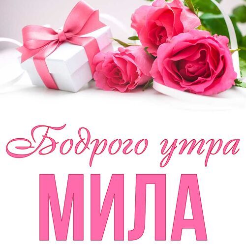 Открытка Мила Бодрого утра