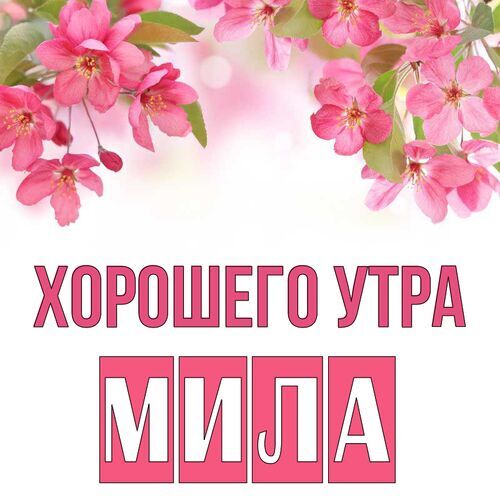 Открытка Мила Хорошего утра