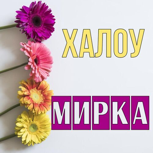 Открытка Мирка Халоу