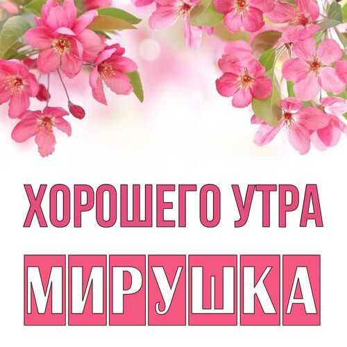 Открытка Мирушка Хорошего утра