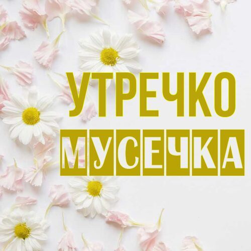 Открытка Мусечка Утречко