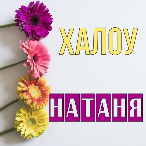 Открытка Натаня Халоу