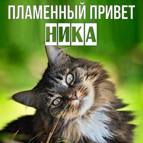 Открытка Ника Пламенный привет