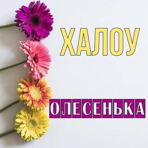 Открытка Олесенька Халоу