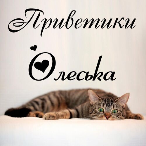 Открытка Олеська Приветики