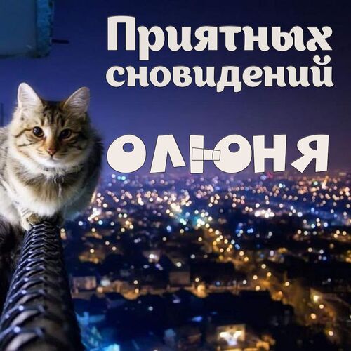 Открытка Олюня Приятных сновидений