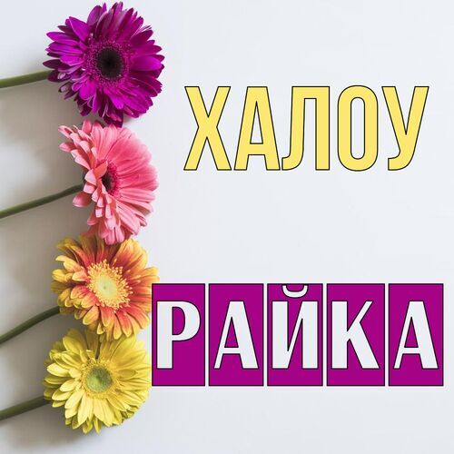 Открытка Райка Халоу