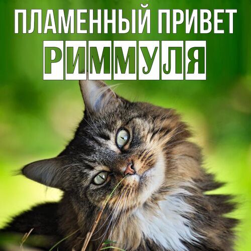 Открытка Риммуля Пламенный привет