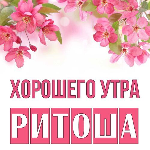 Открытка Ритоша Хорошего утра