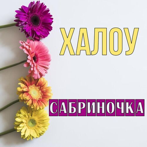 Открытка Сабриночка Халоу