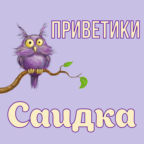 Открытка Саидка Приветики