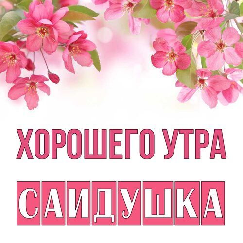 Открытка Саидушка Хорошего утра