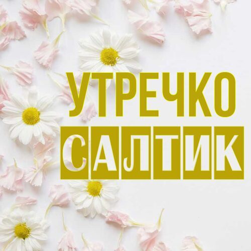 Открытка Салтик Утречко