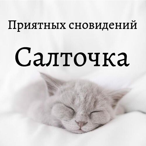 Открытка Салточка Приятных сновидений