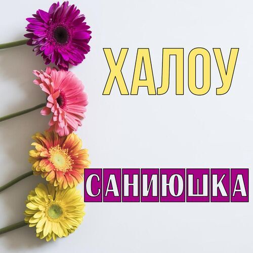 Открытка Саниюшка Халоу