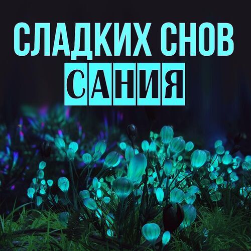 Открытка Сания Сладких снов