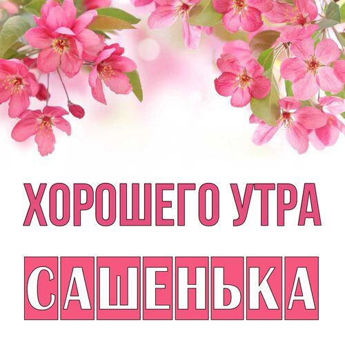 Открытка Сашенька Хорошего утра