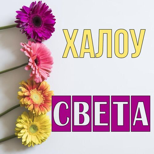 Открытка Света Халоу