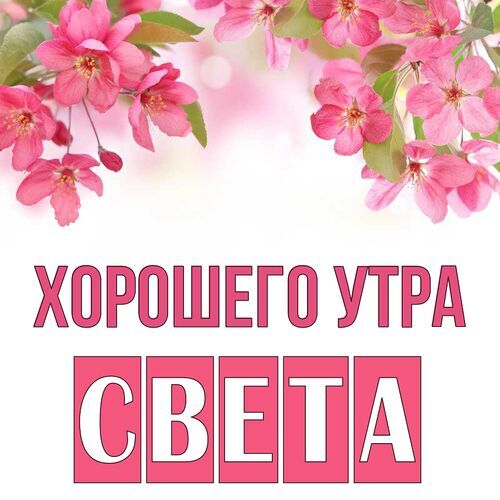 Открытка Света Хорошего утра