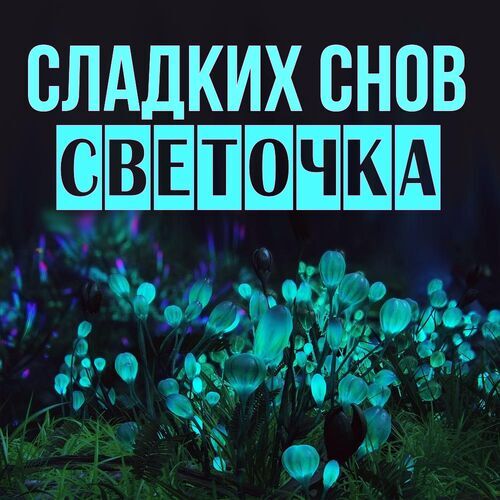 Открытка Светочка Сладких снов