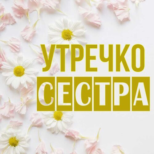 Открытка Сестра Утречко