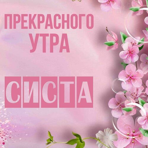 Открытка Систа Прекрасного утра