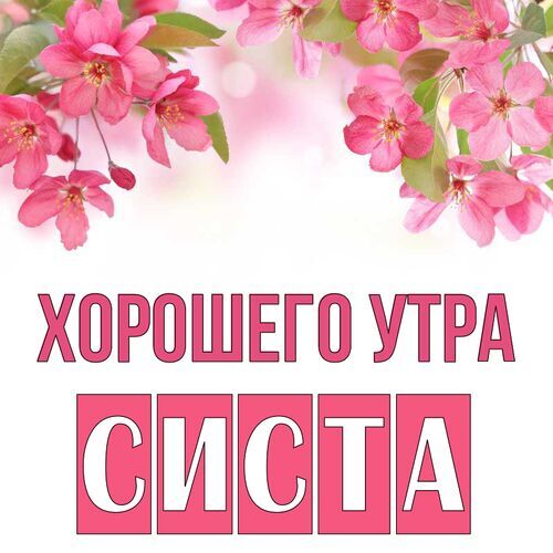 Открытка Систа Хорошего утра