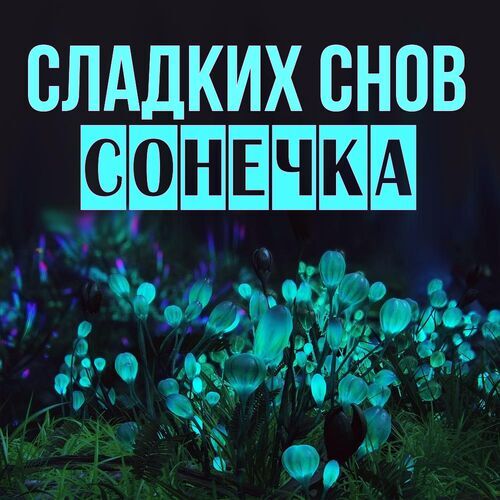 Открытка Сонечка Сладких снов