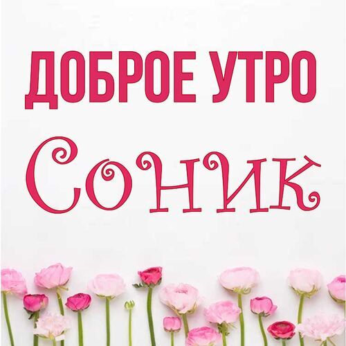 Открытка Соник Доброе утро