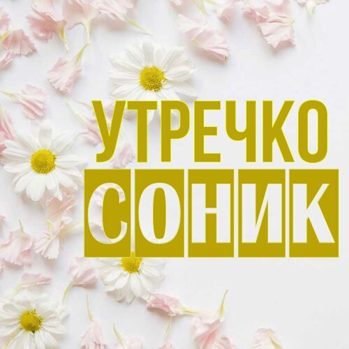 Открытка Соник Утречко