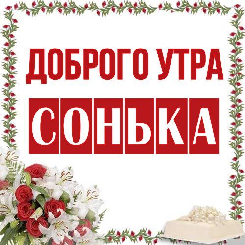 Открытка Сонька Доброго утра