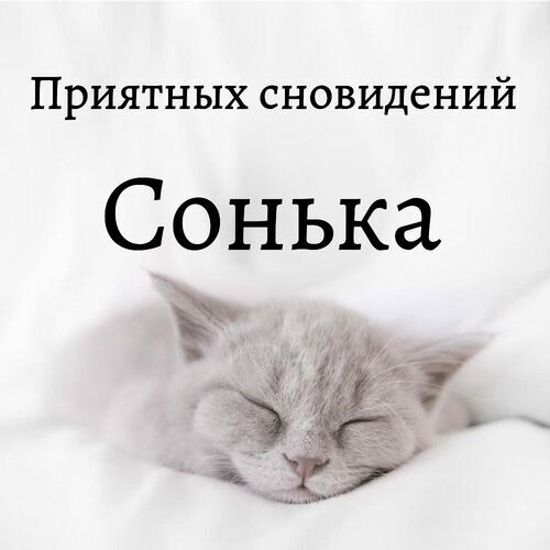 Открытка Сонька Приятных сновидений