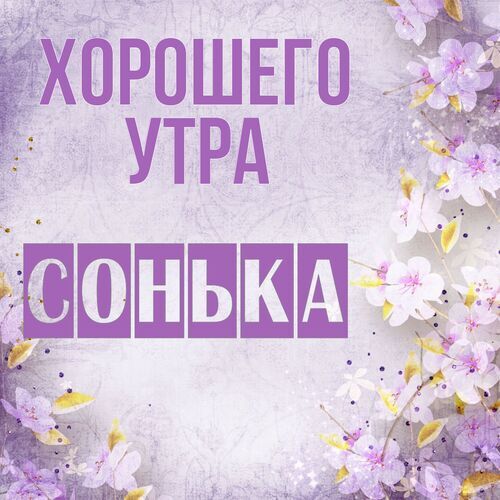 Открытка Сонька Хорошего утра