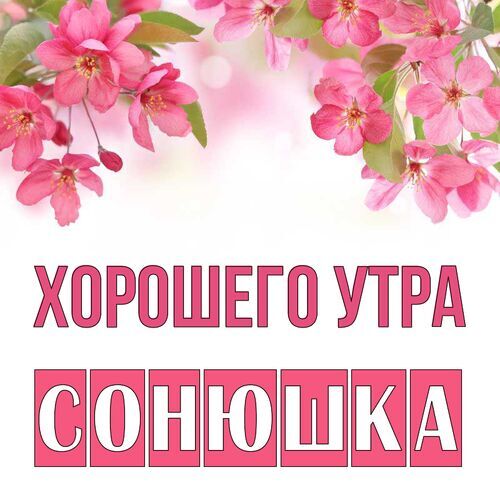 Открытка Сонюшка Хорошего утра